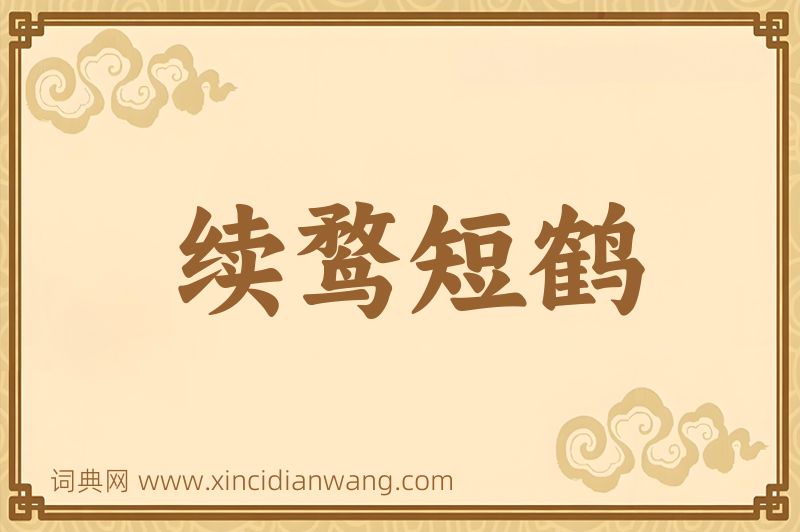 成语续鹜短鹤图片