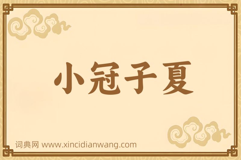 成语小冠子夏图片