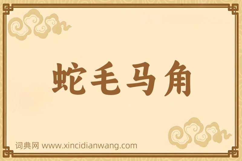 成语蛇毛马角图片