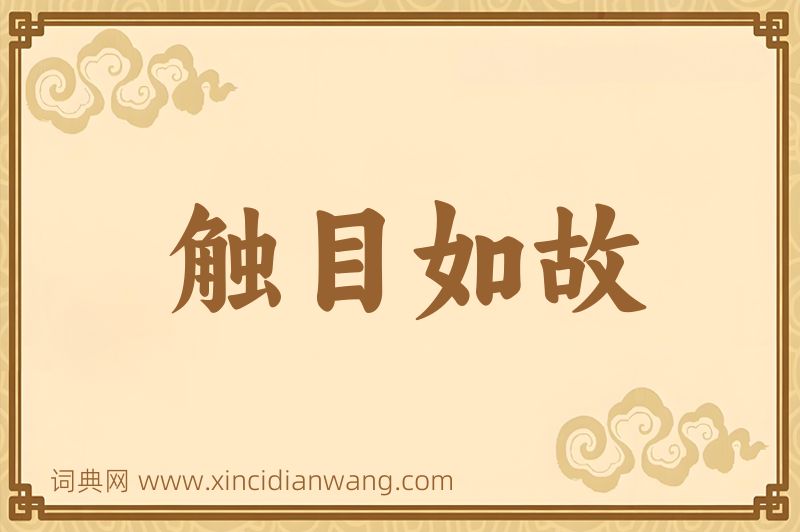 成语触目如故图片