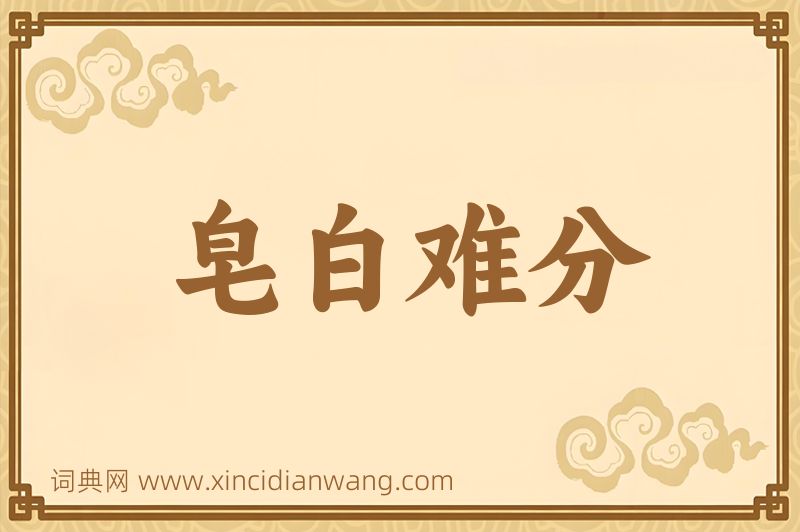 成语皂白难分图片