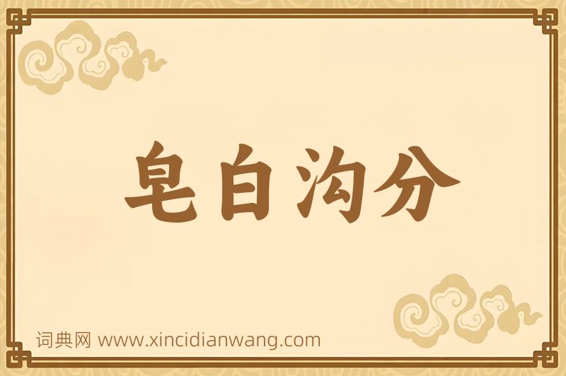 成语皂白沟分图片