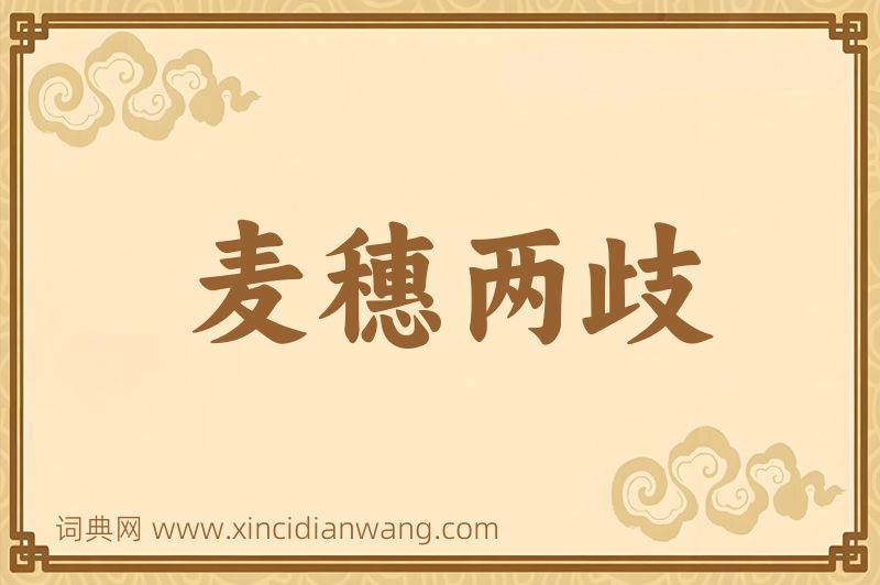 成语麦穗两歧图片