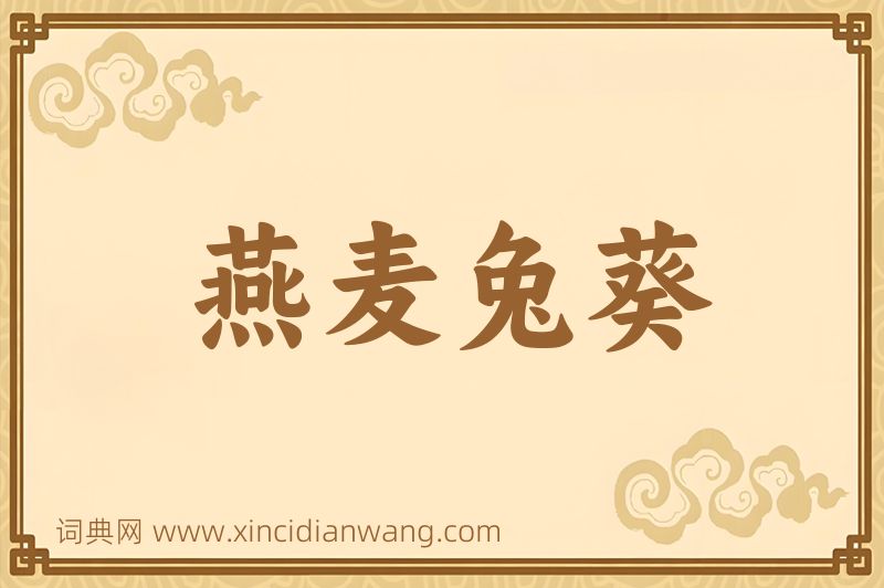 成语燕麦兔葵图片