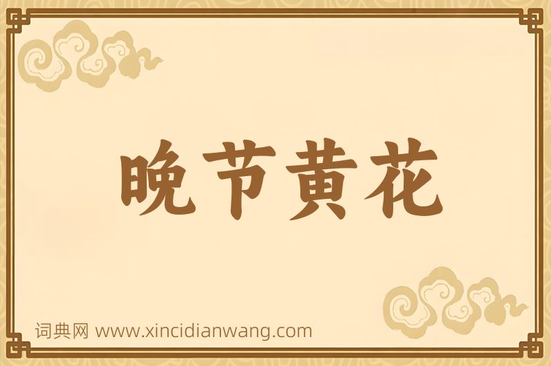 成语晚节黄花图片
