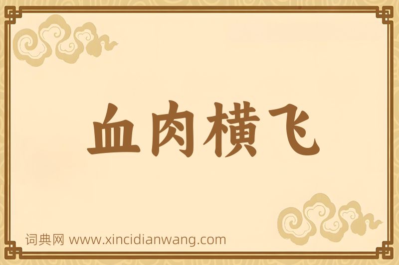 成语血肉横飞图片