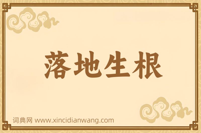 成语落地生根图片