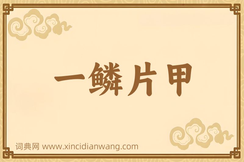 成语一鳞片甲图片