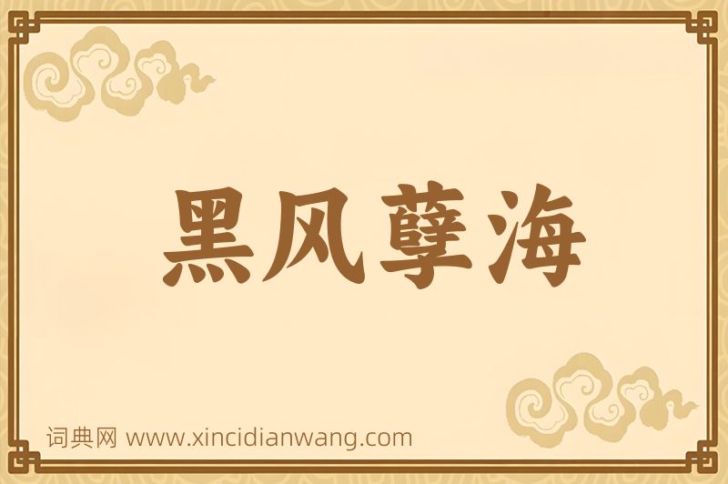 成语黑风孽海图片