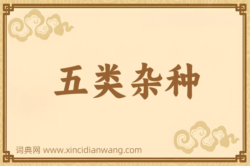 成语五类杂种图片
