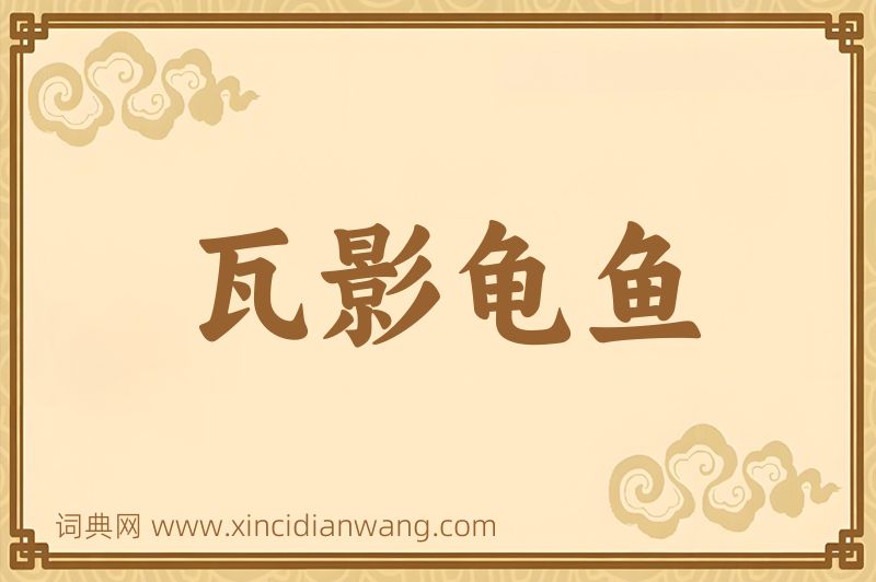 成语瓦影龟鱼图片