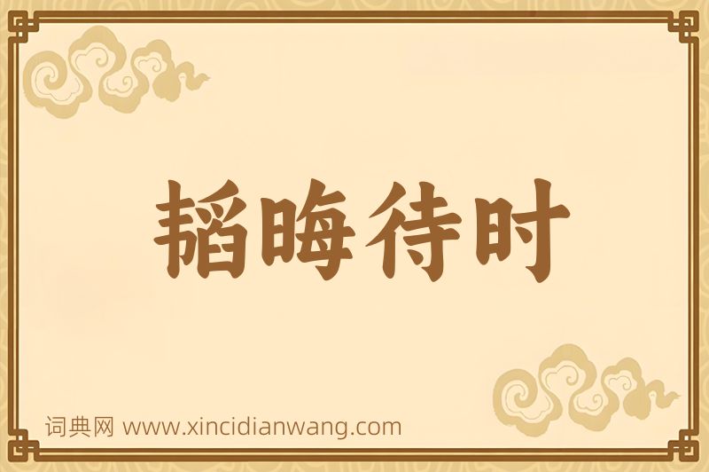 成语韬晦待时图片