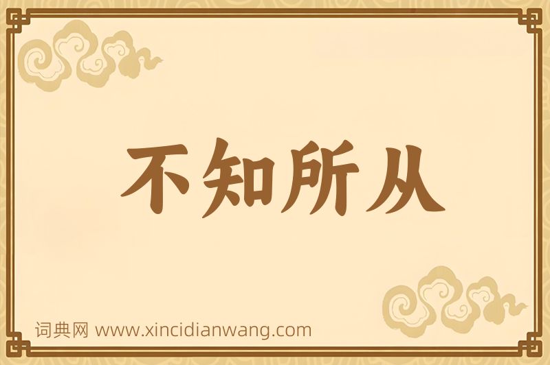 成语不知所从图片