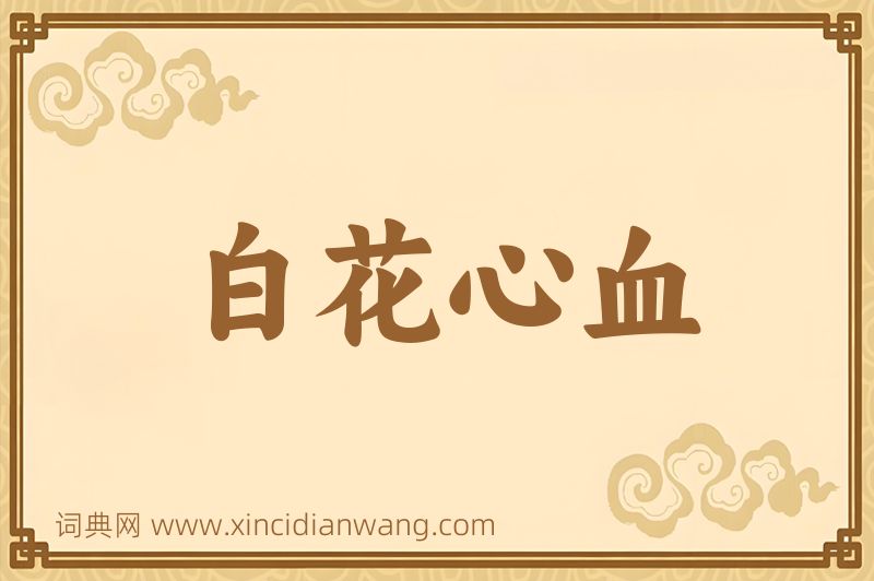 成语白花心血图片