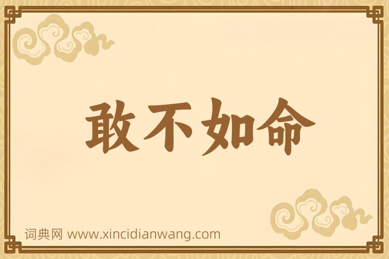 成语敢不如命图片