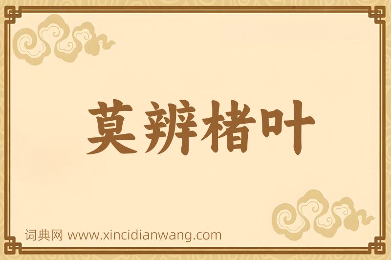 成语莫辨楮叶图片