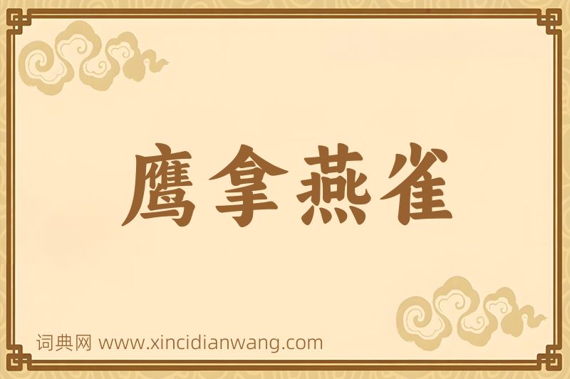 成语鹰拿燕雀图片
