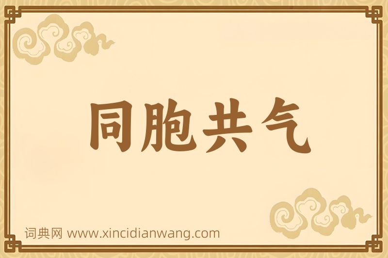 成语同胞共气图片