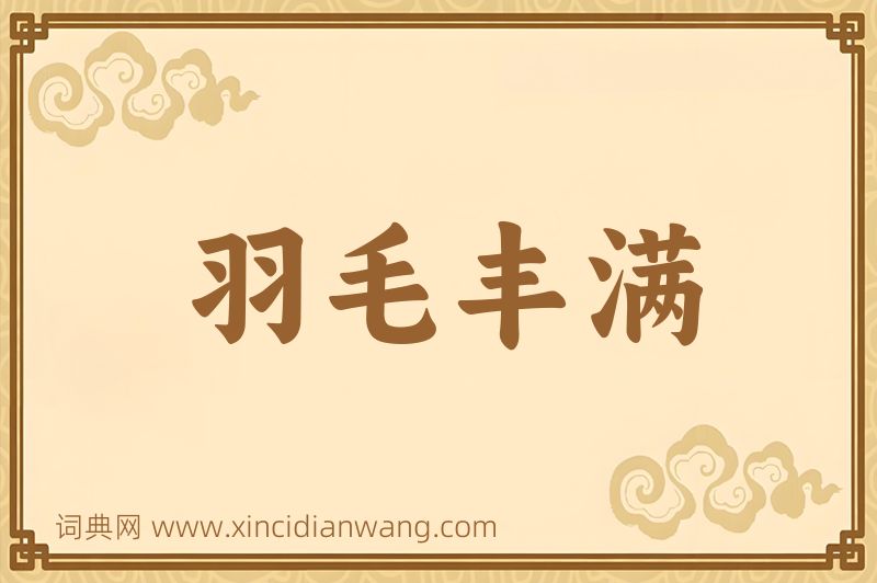 成语羽毛丰满图片