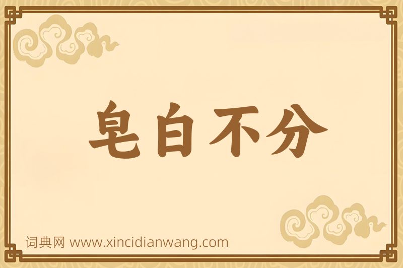 成语皂白不分图片