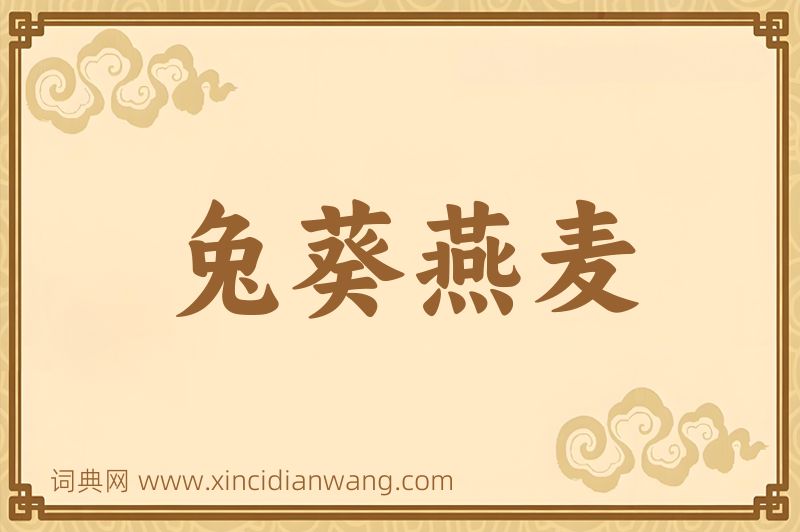 成语兔葵燕麦图片