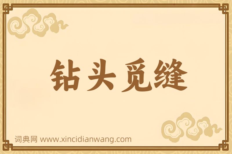 成语钻头觅缝图片