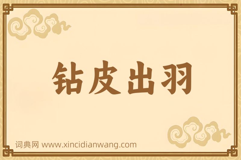 成语钻皮出羽图片