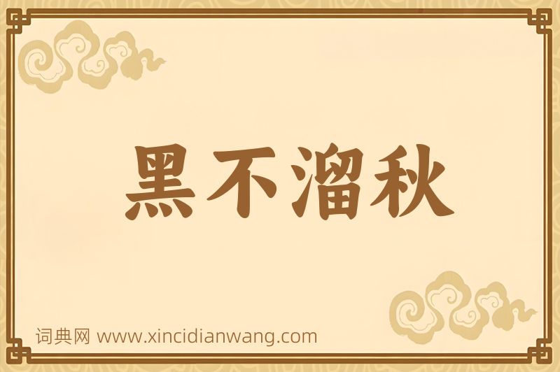 成语黑不溜秋图片
