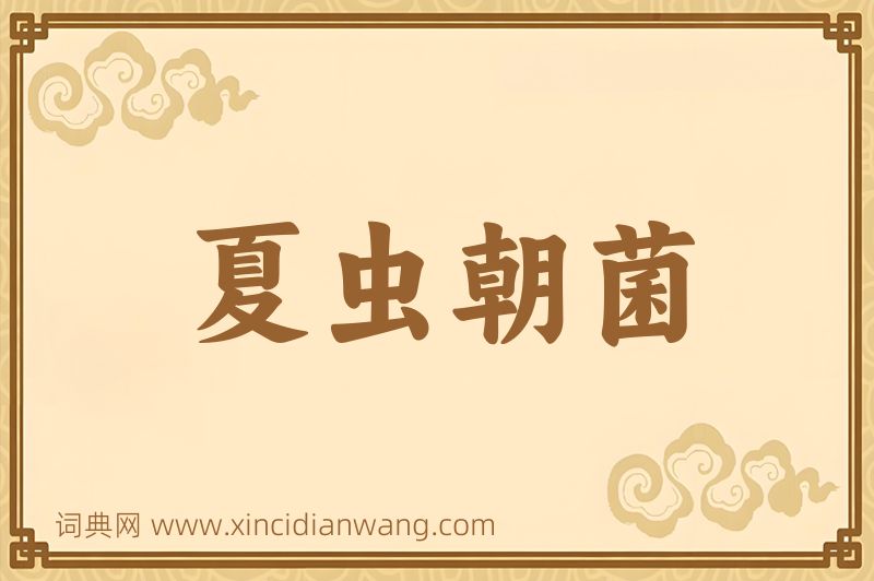 成语夏虫朝菌图片