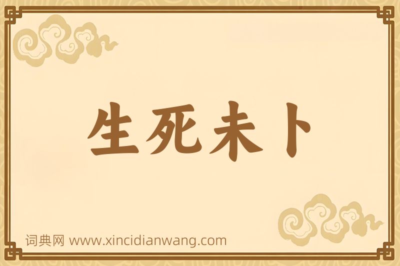 成语生死未卜图片