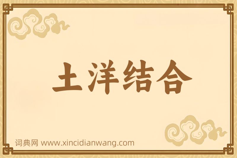 成语土洋结合图片