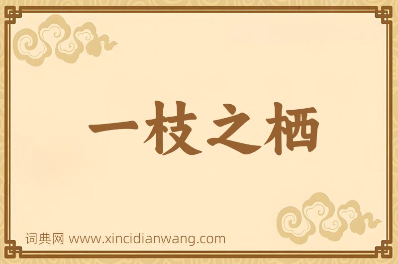 成语一枝之栖图片