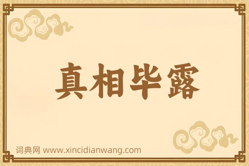 成语真相毕露图片