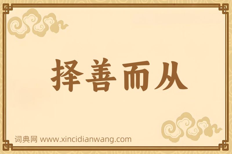 成语择善而从图片