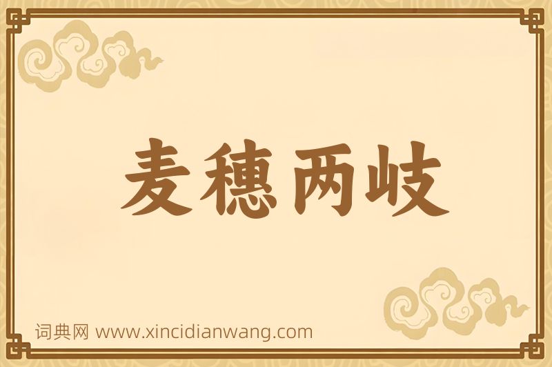 成语麦穗两岐图片