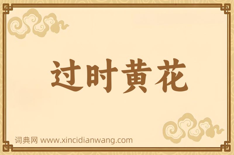 成语过时黄花图片