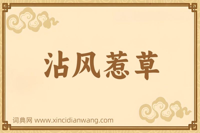 成语沾风惹草图片