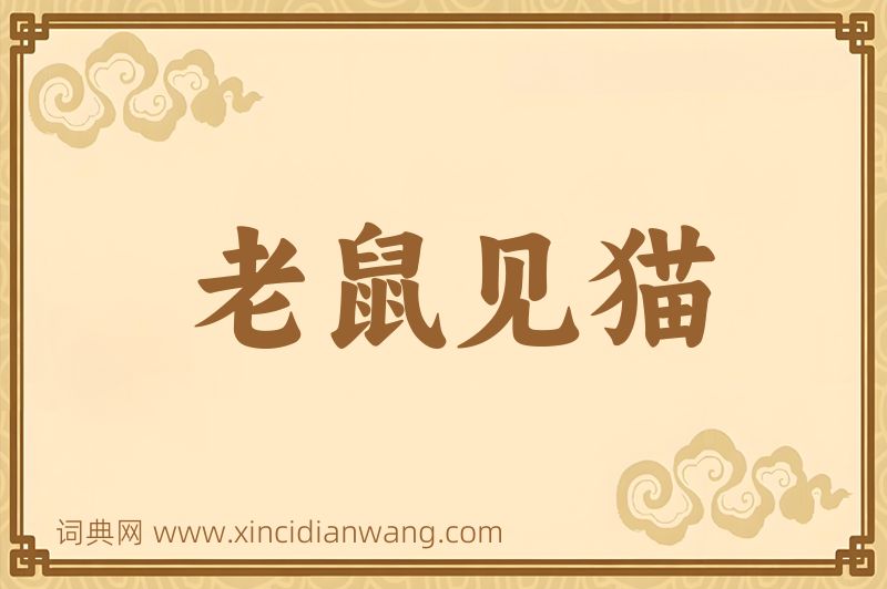 成语老鼠见猫图片