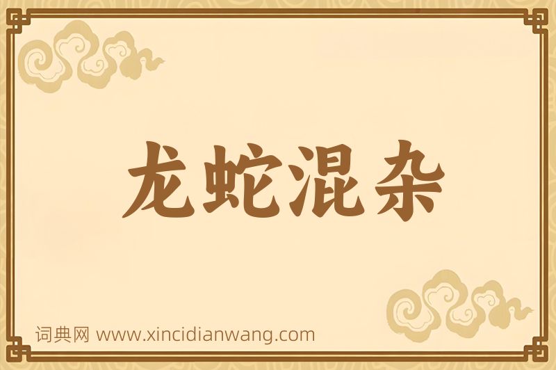 成语龙蛇混杂图片
